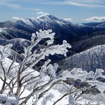 Blog Hotham